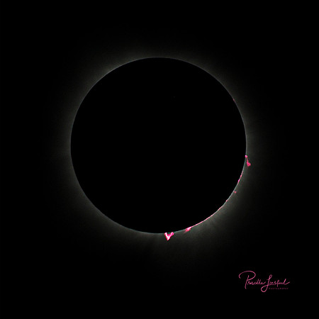 5D3_020475  Solar Prominences